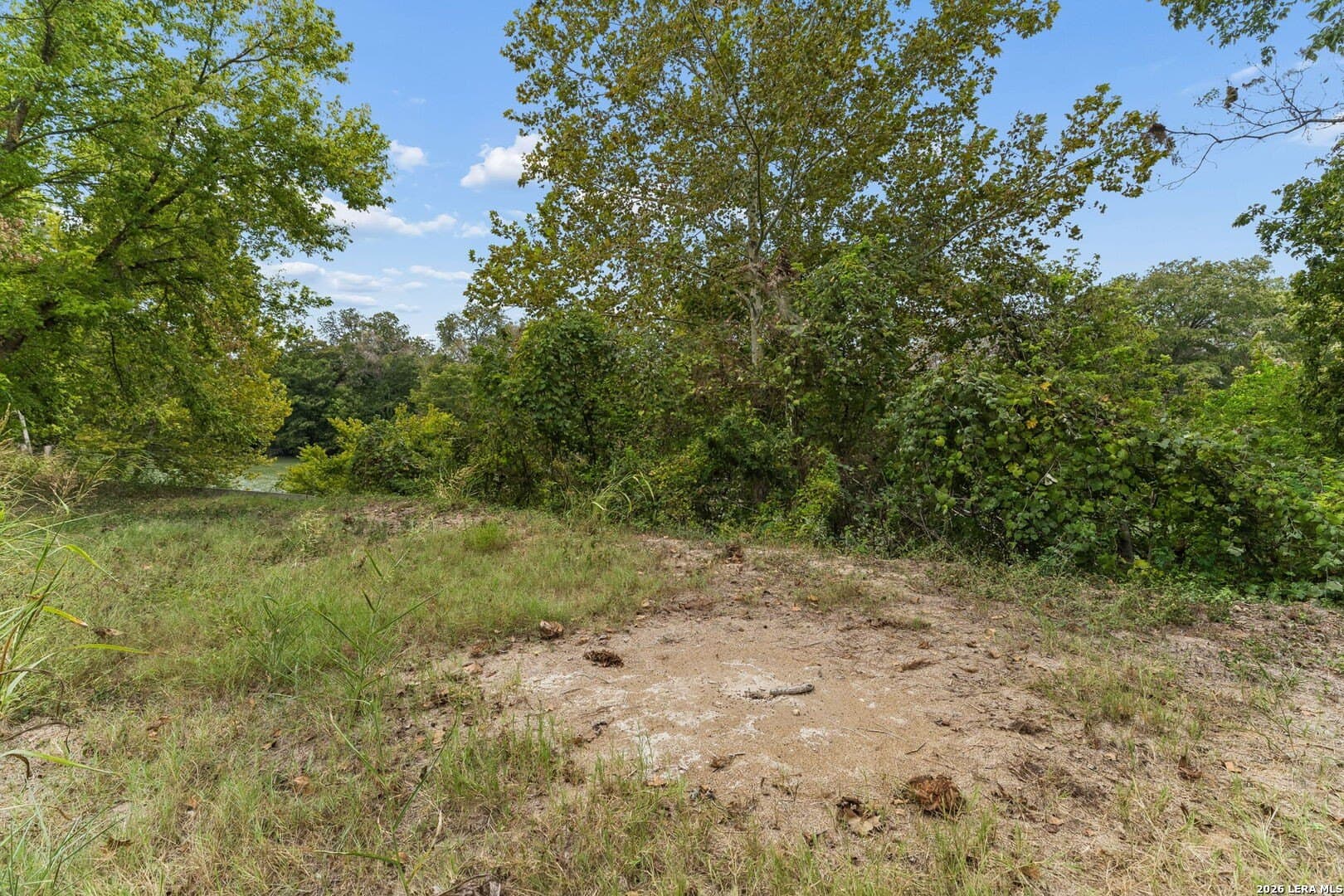 0.22 acres in Guadalupe County - photo 10