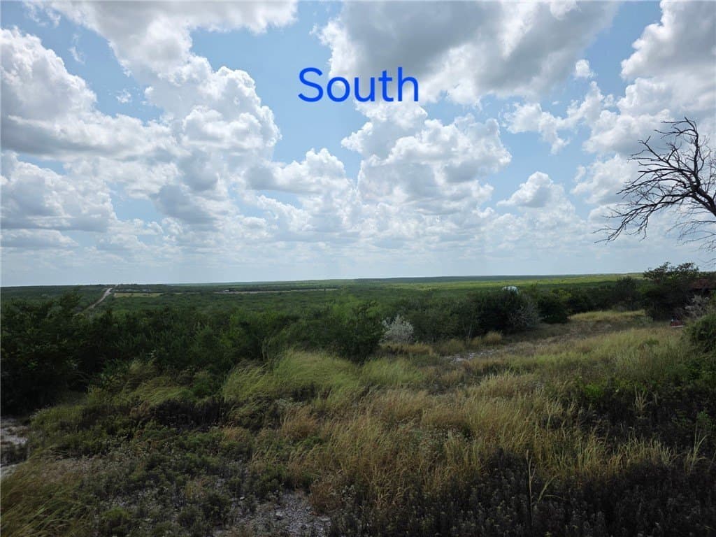 10 acres in Jim Wells County - photo 3