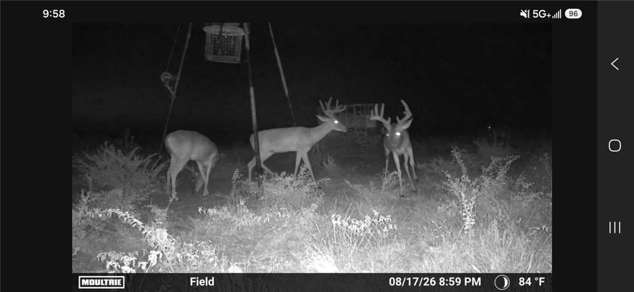 10 acres in Jim Wells County - photo 2