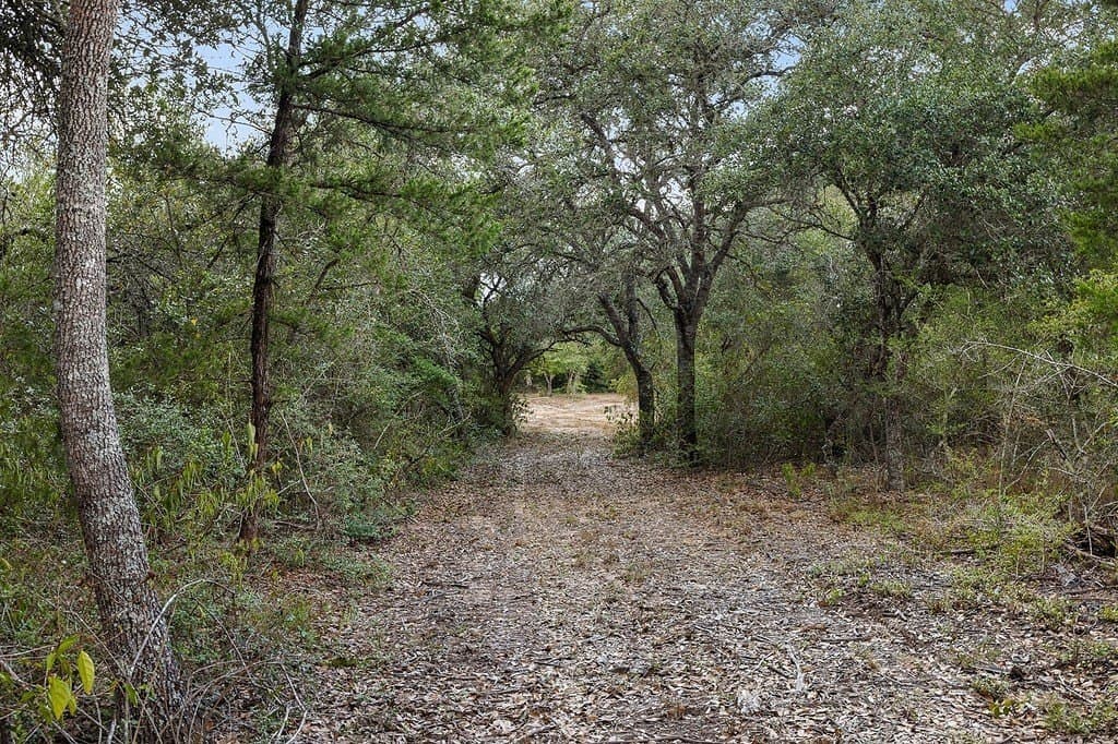 29.87 acres in Lavaca County - photo 23
