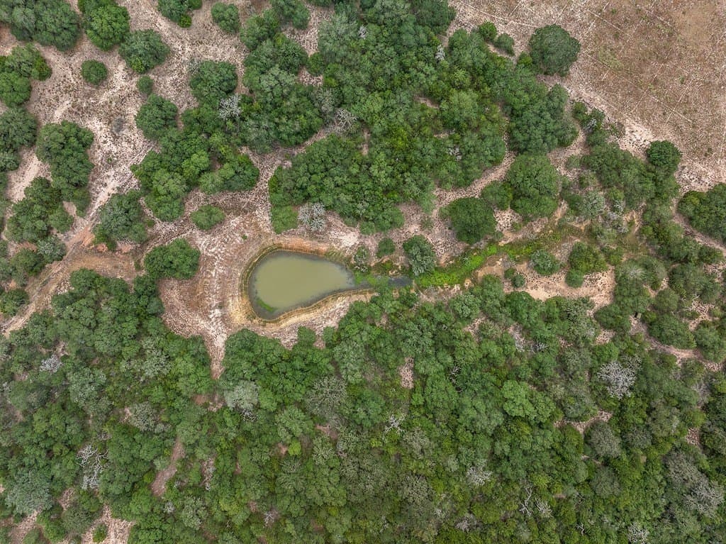29.87 acres in Lavaca County - photo 19