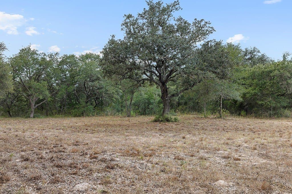 29.87 acres in Lavaca County - photo 27