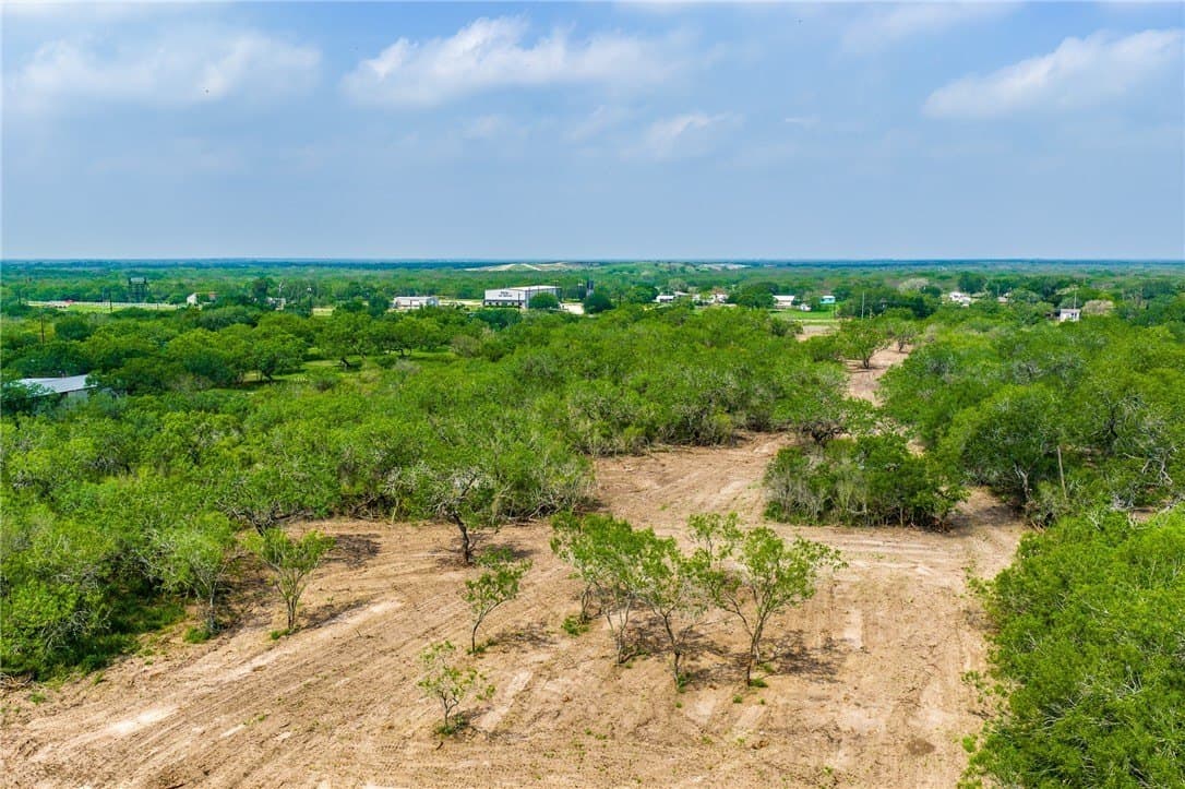 10.74 acres in Jim Wells County gallery image 3
