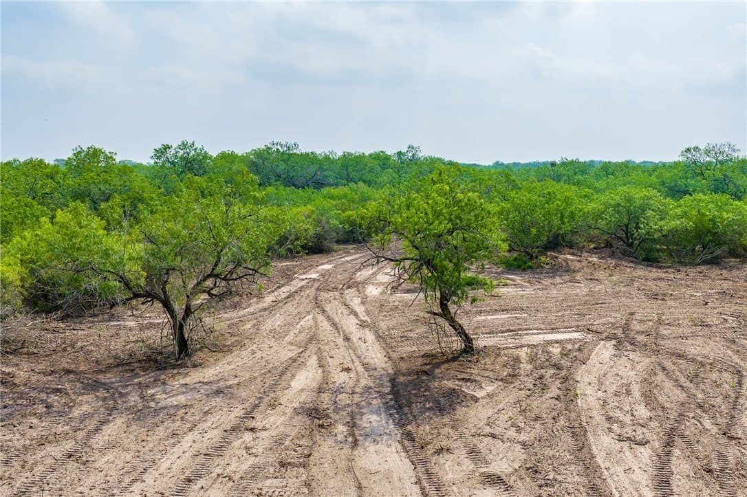10.74 acres in Jim Wells County gallery image 2