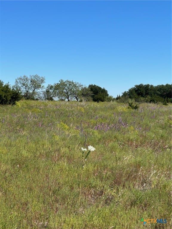312.24 acres in Coryell County gallery image 3