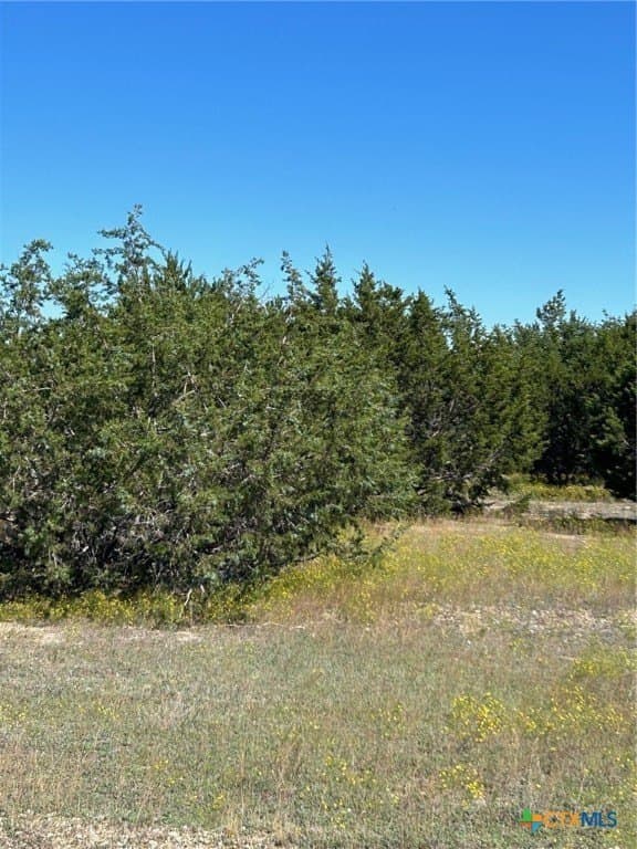 312.24 acres in Coryell County featured view