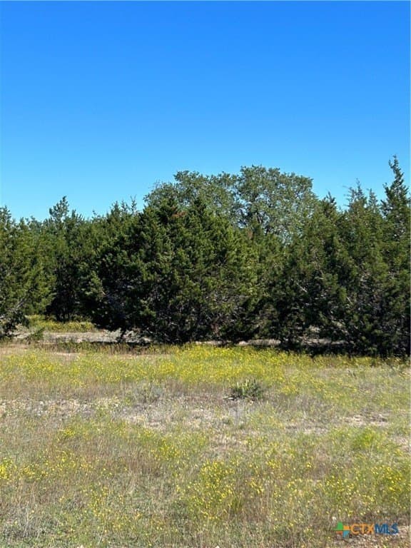 312.24 acres in Coryell County gallery image 4