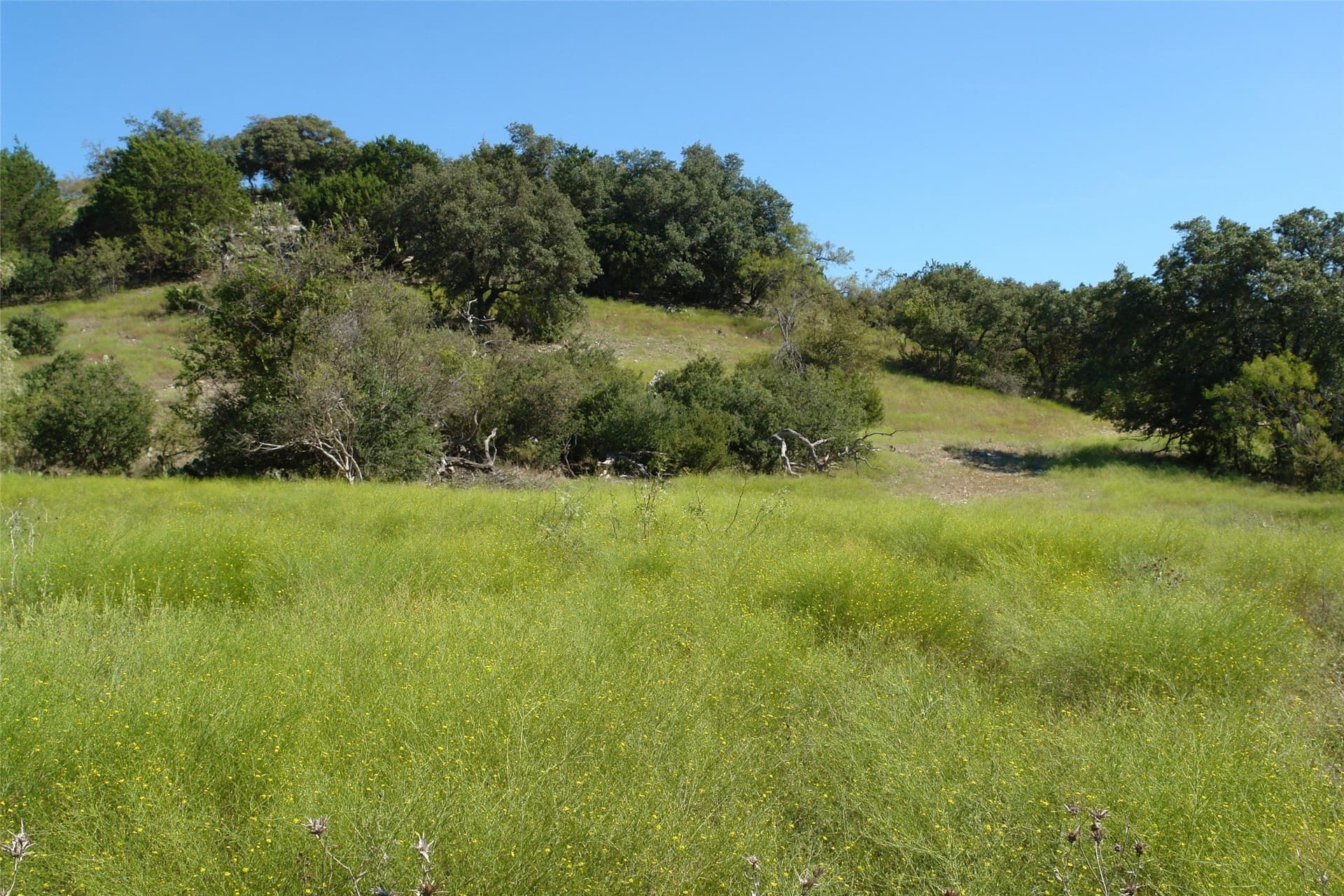 33.24 acres in Mills County - photo 26