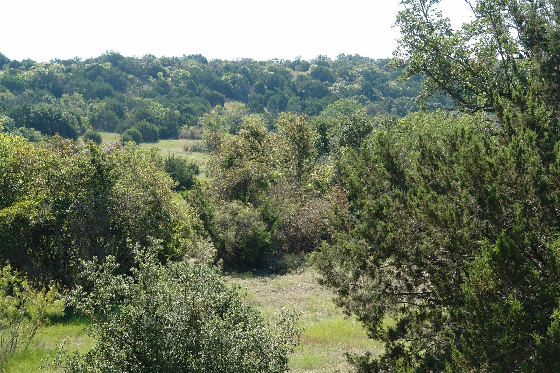 33.24 acres in Mills County - photo 21