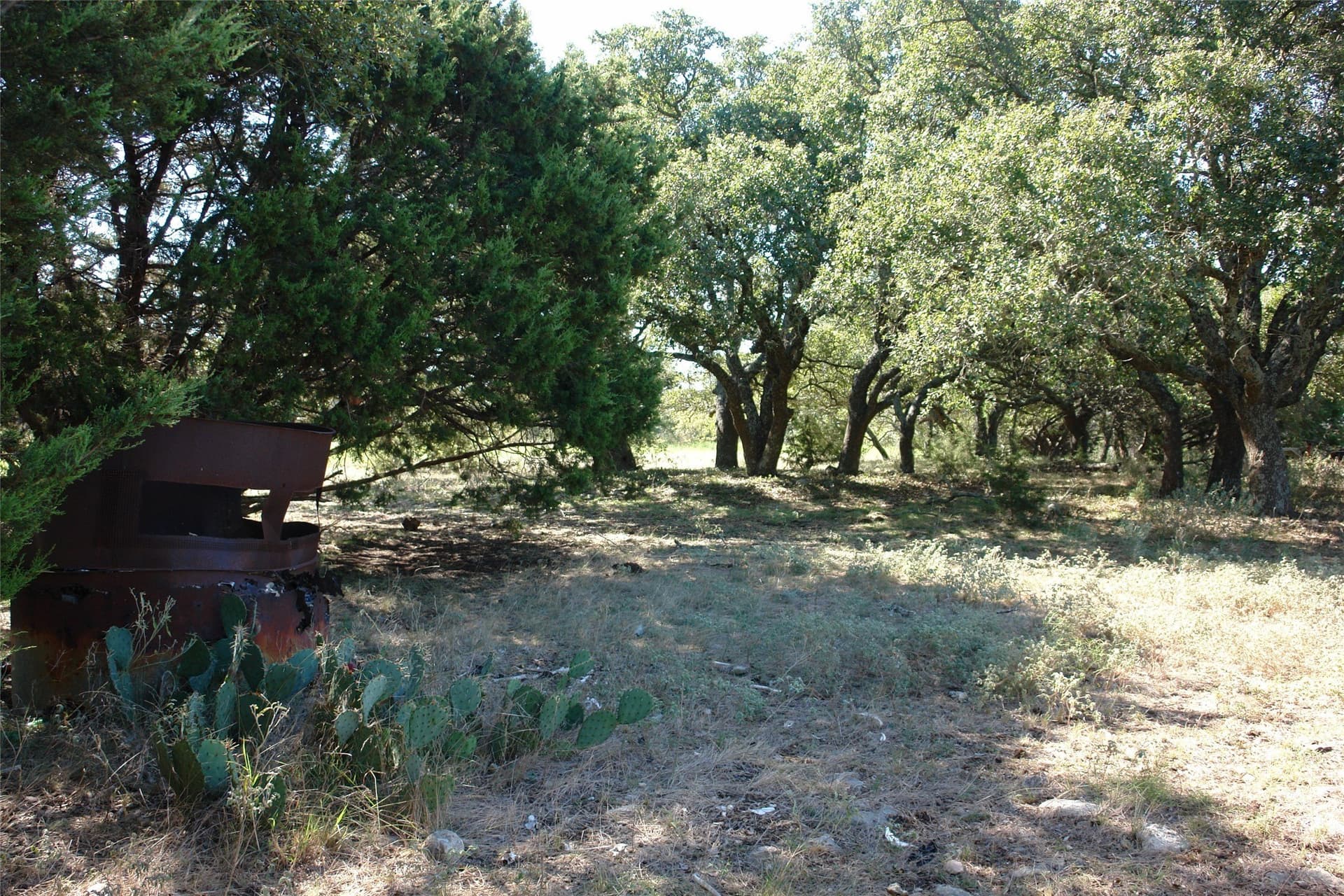 33.24 acres in Mills County - photo 17