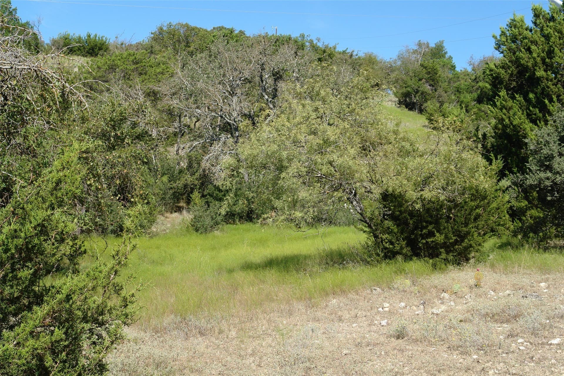 33.24 acres in Mills County - photo 31