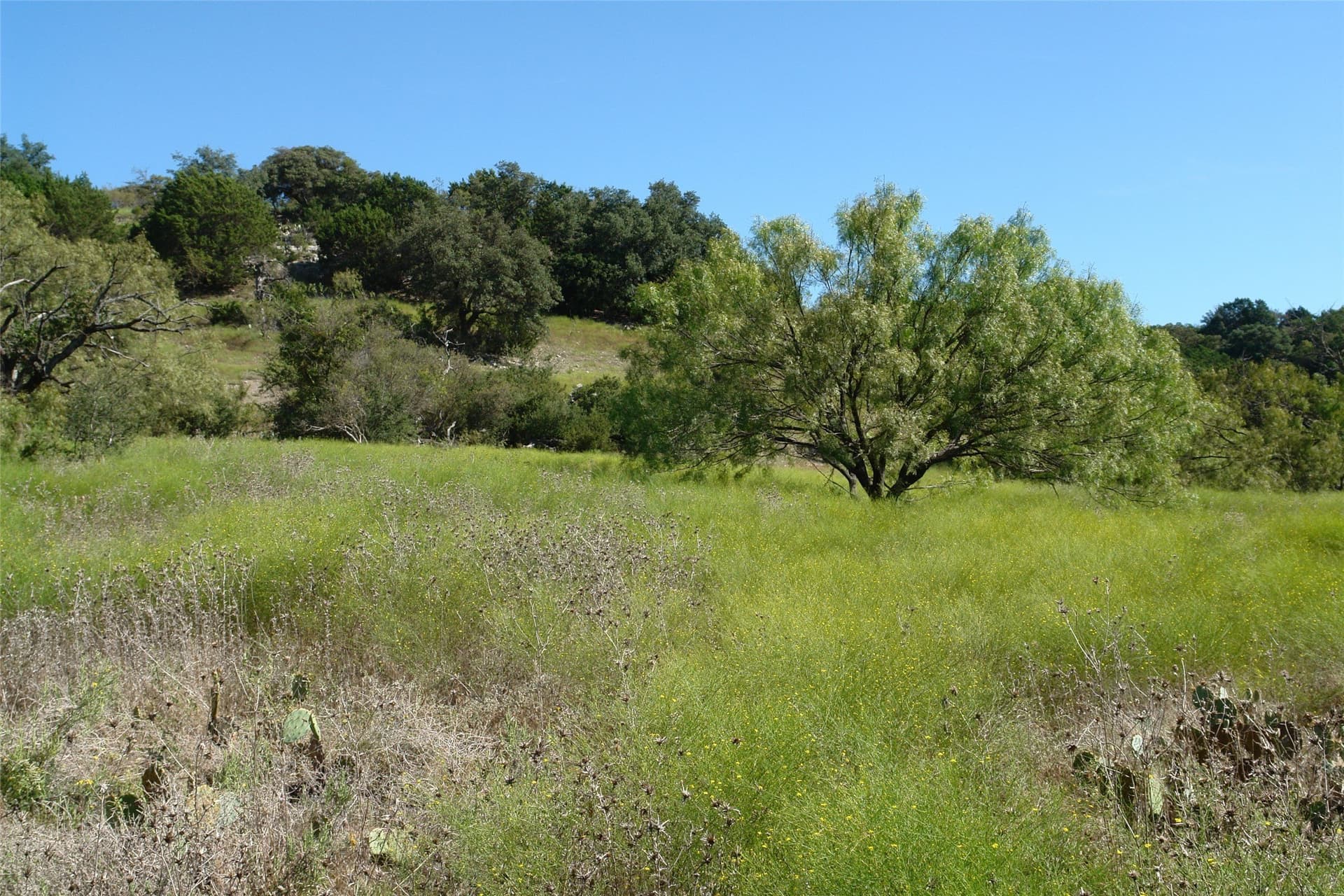 33.24 acres in Mills County - photo 24