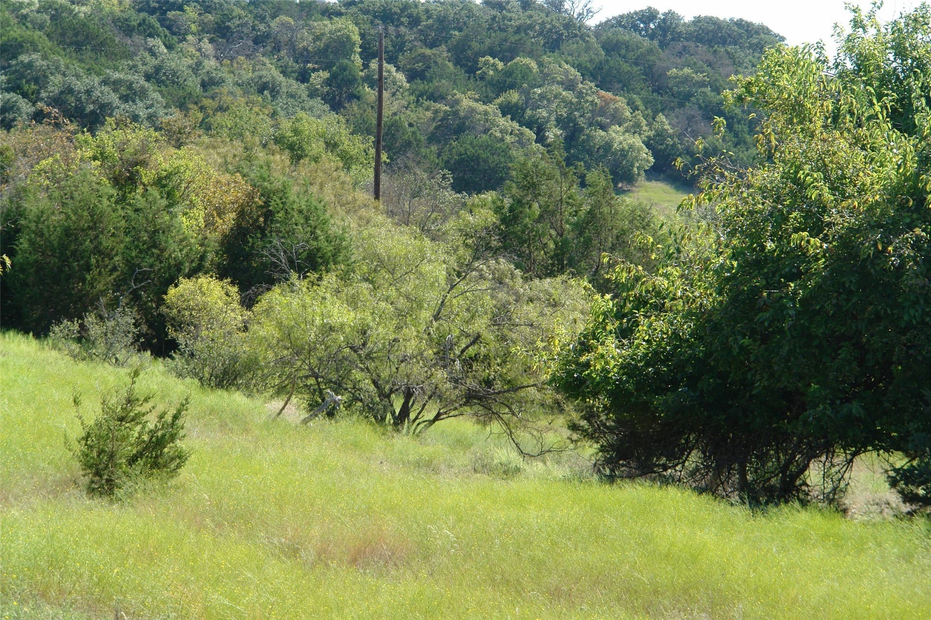 33.24 acres in Mills County - photo 27