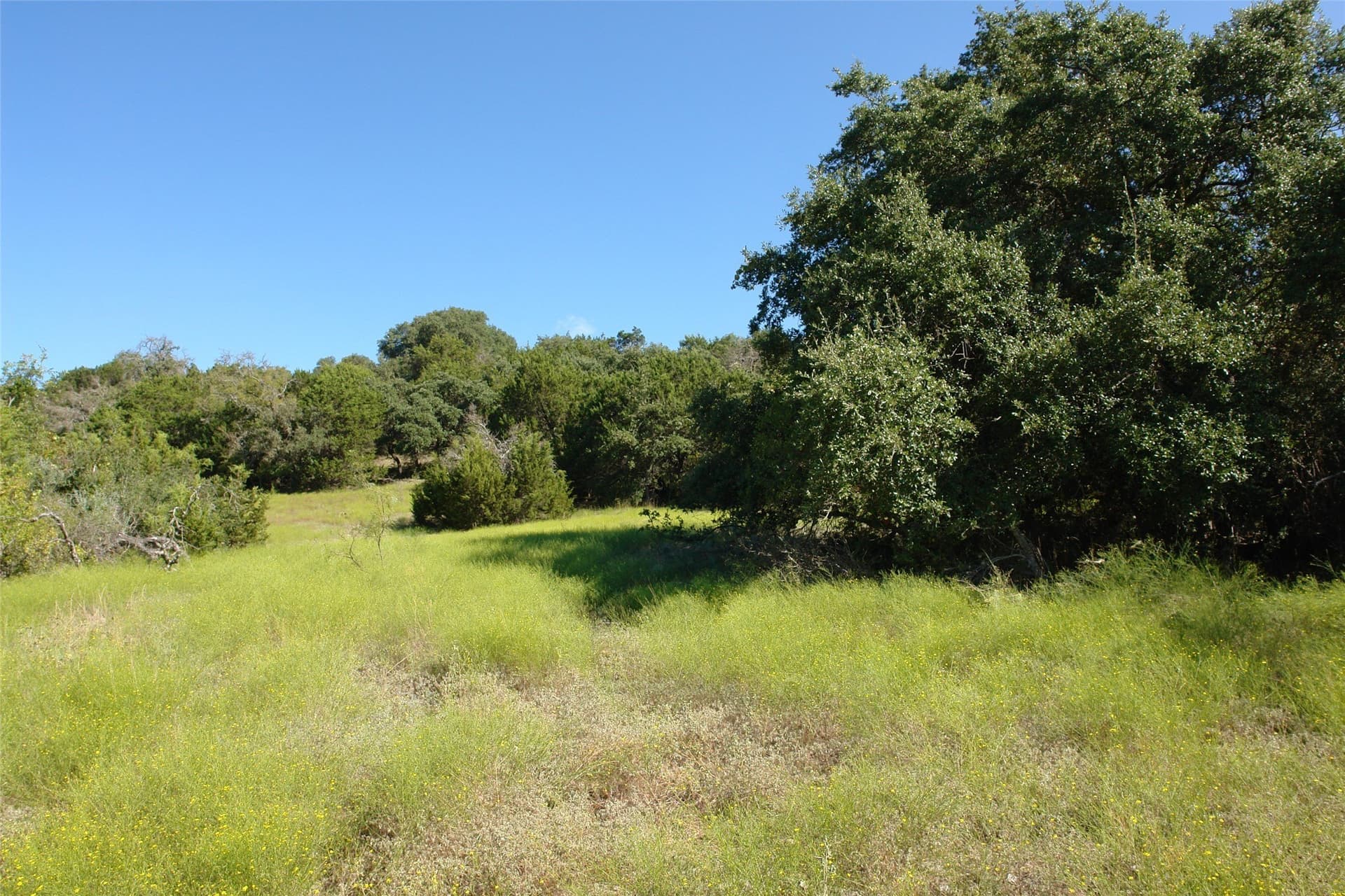 33.24 acres in Mills County - photo 29