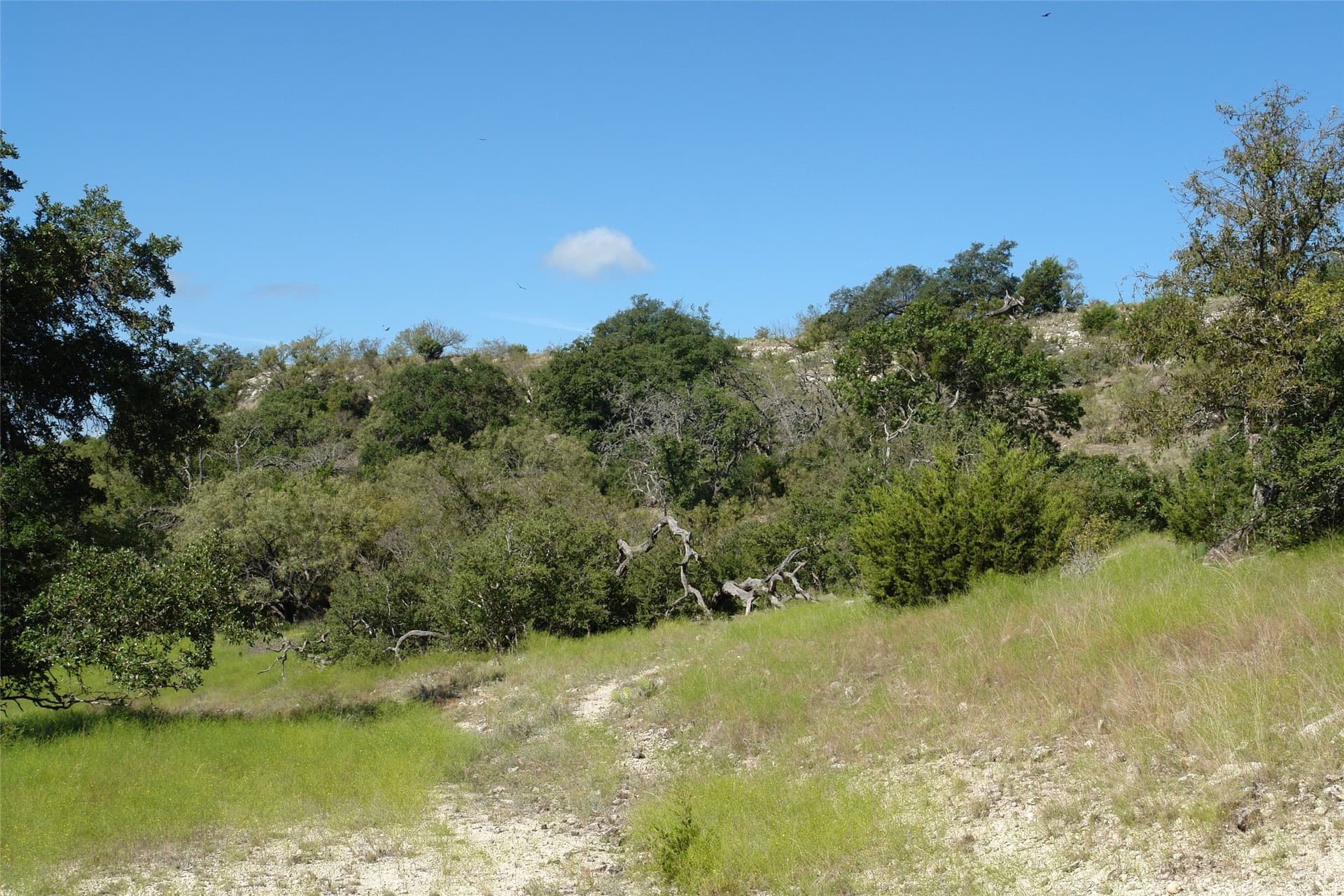 33.24 acres in Mills County - photo 22