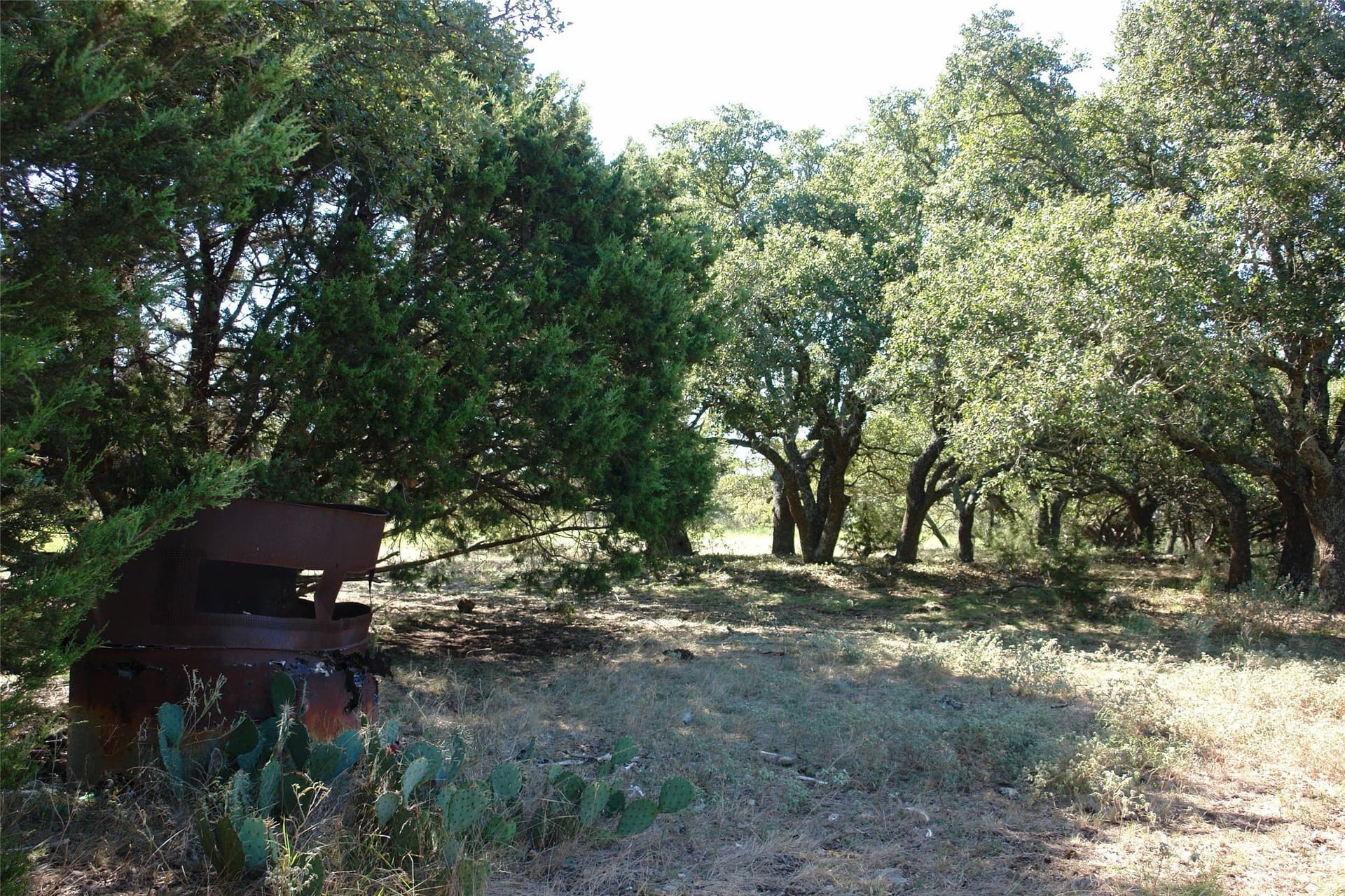 33.24 acres in Mills County - photo 18