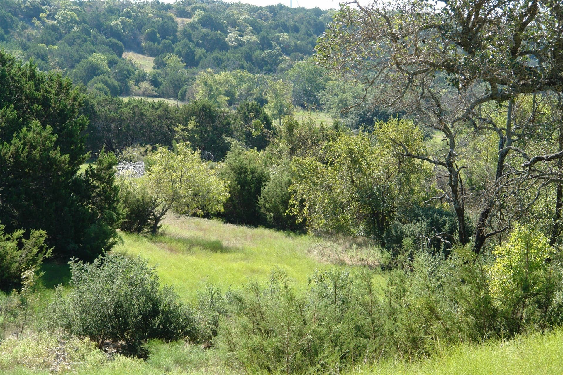 33.24 acres in Mills County - photo 2