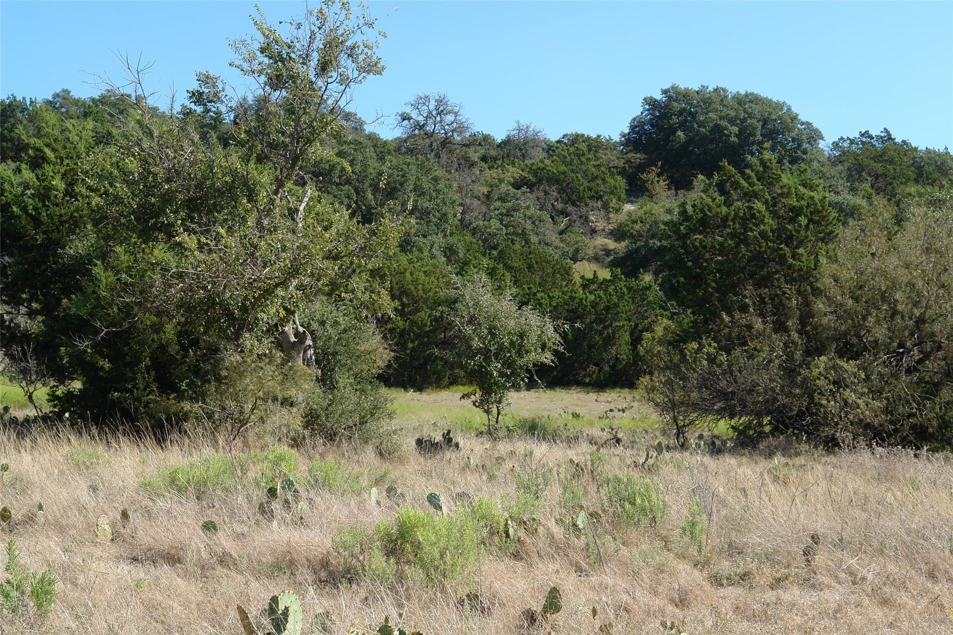 33.24 acres in Mills County - photo 28