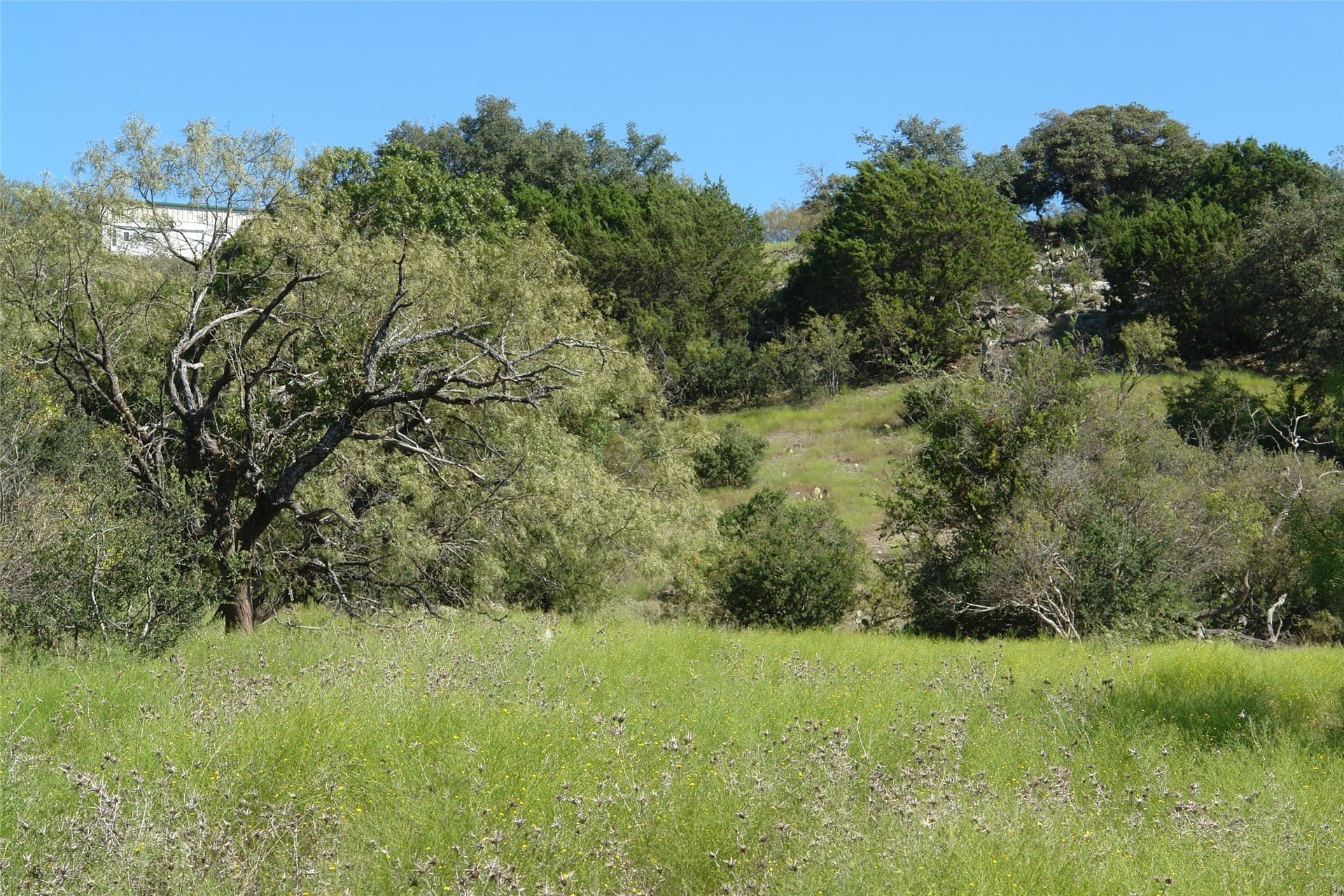 33.24 acres in Mills County - photo 25
