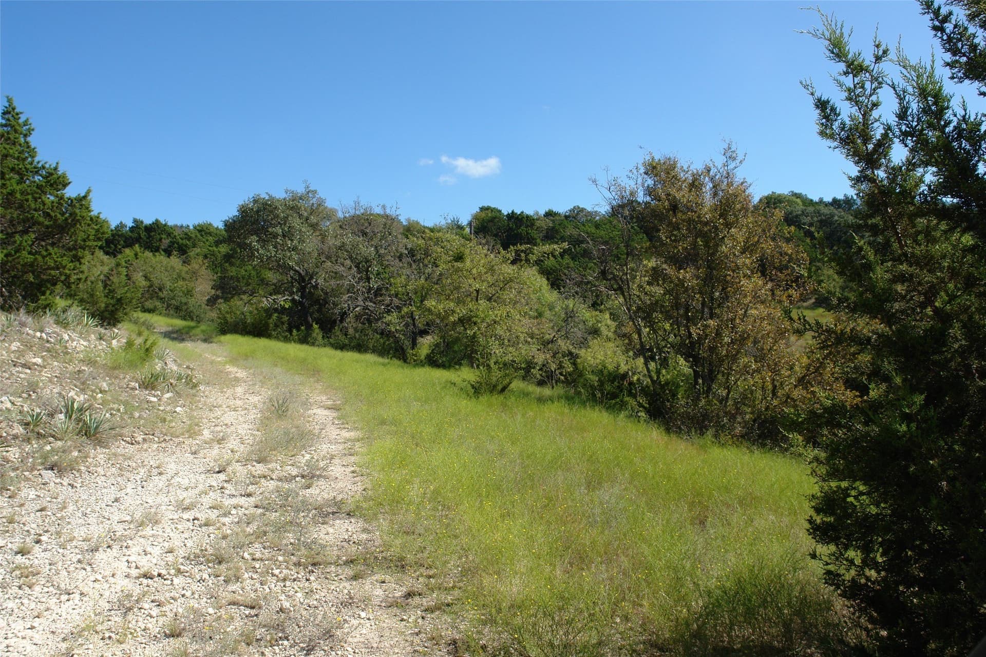 33.24 acres in Mills County - photo 33