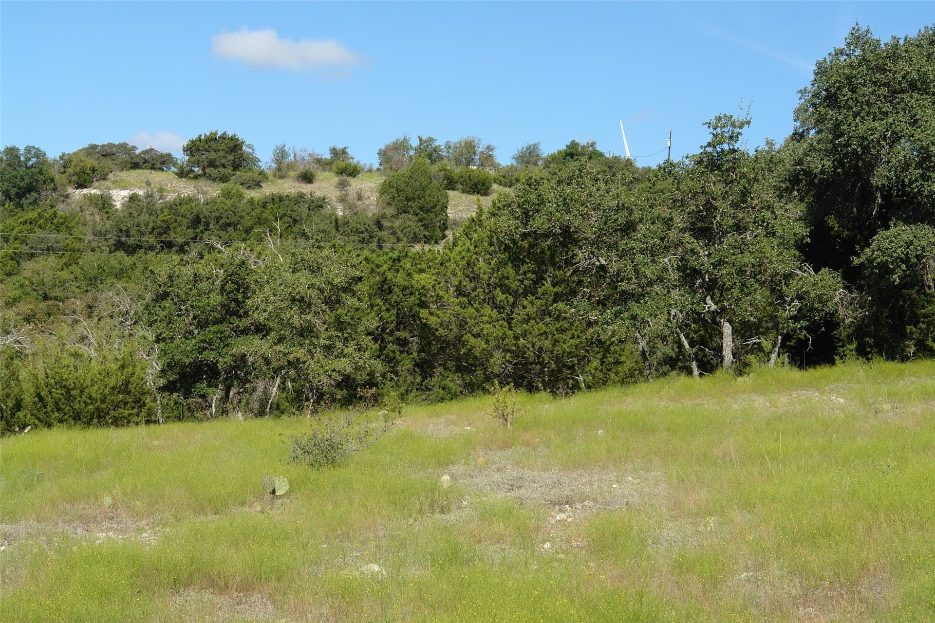 33.24 acres in Mills County - photo 30