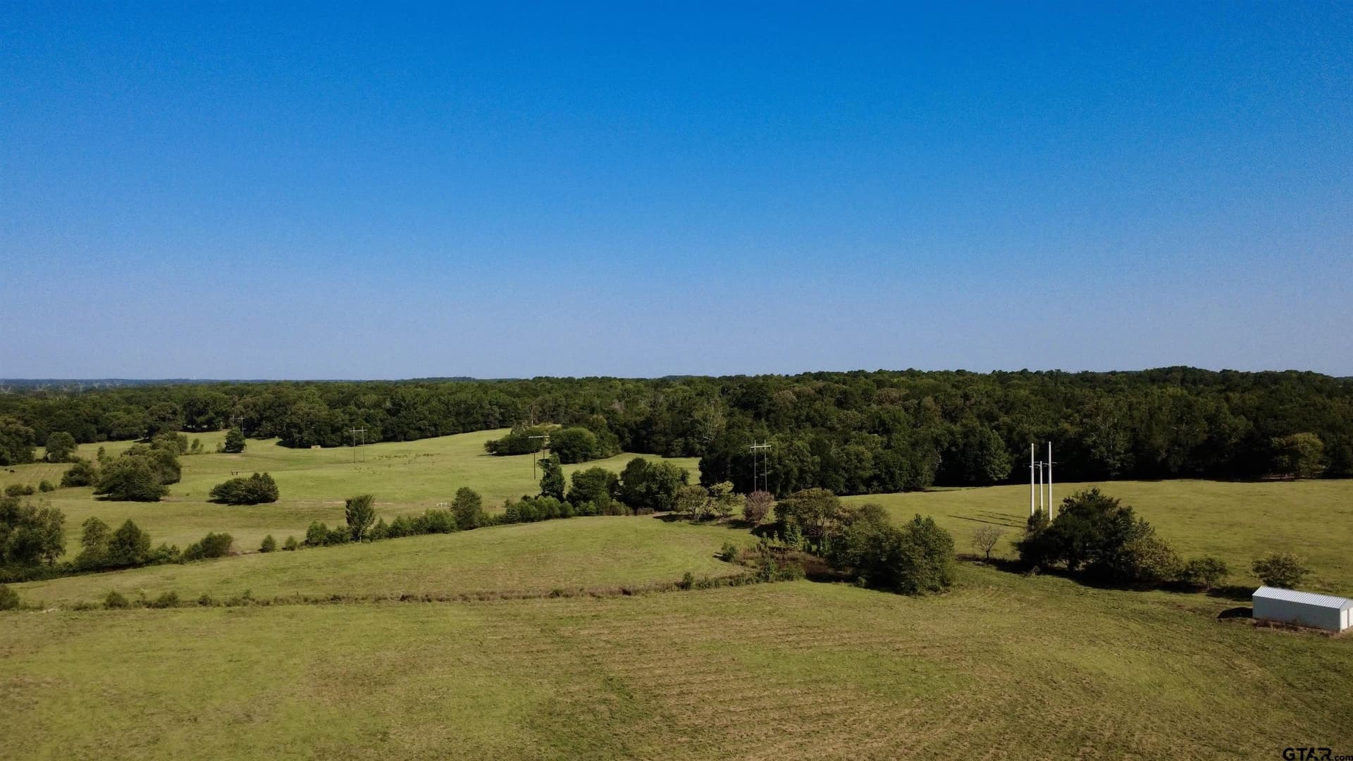 65 acres in Smith County - photo 9