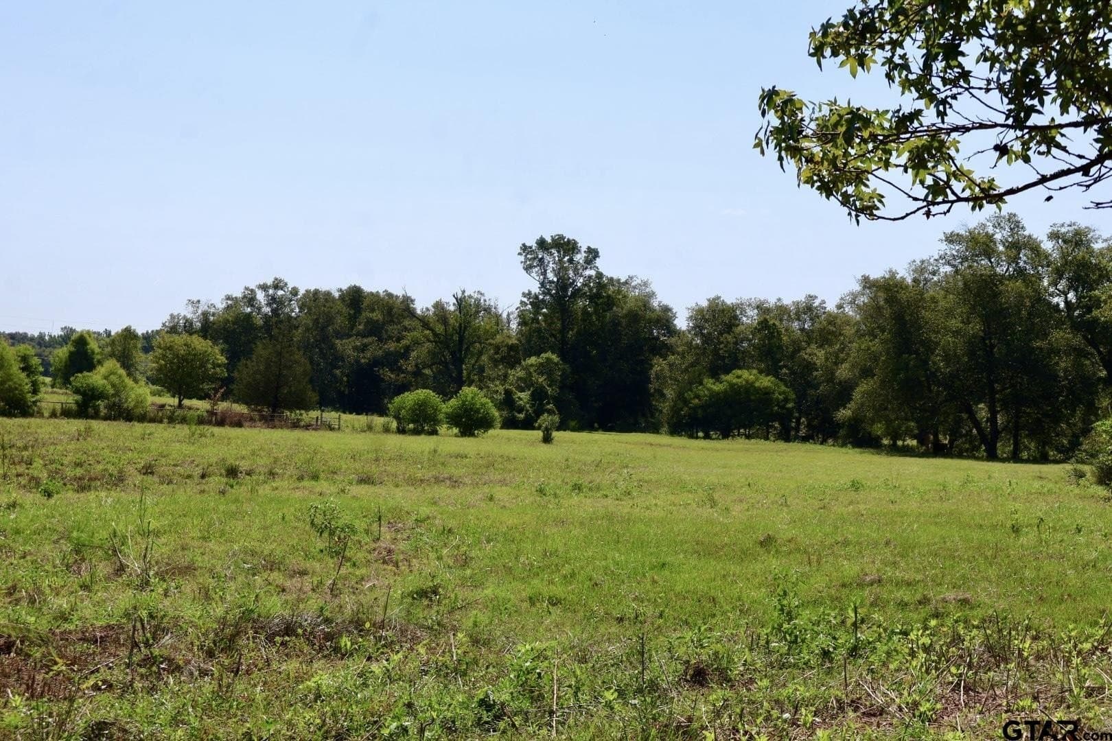 65 acres in Smith County - photo 41