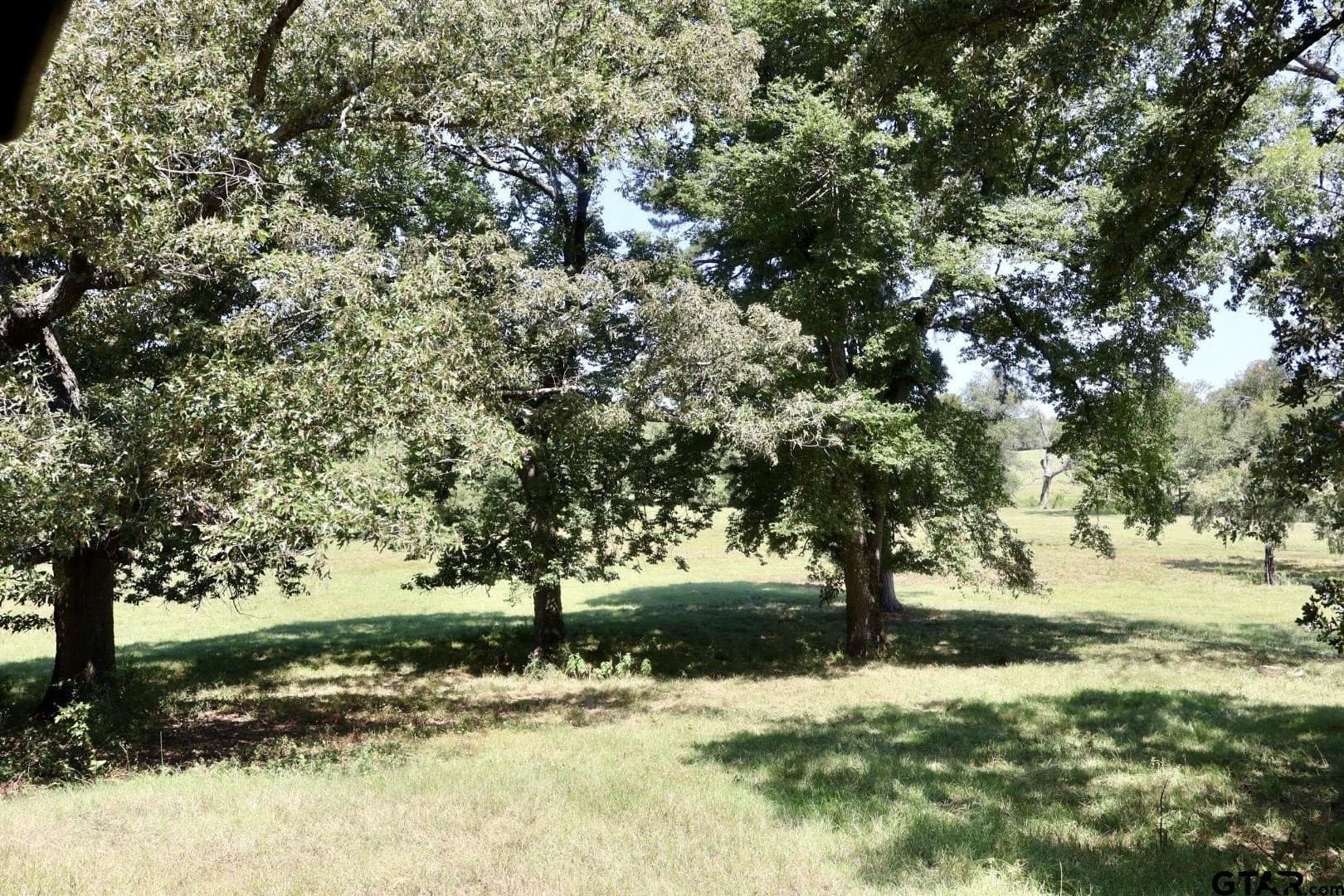 65 acres in Smith County - photo 25