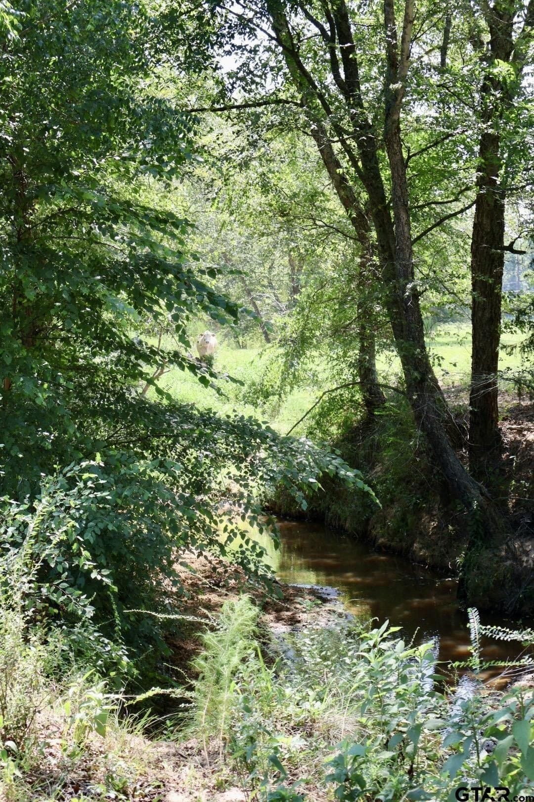 65 acres in Smith County - photo 34