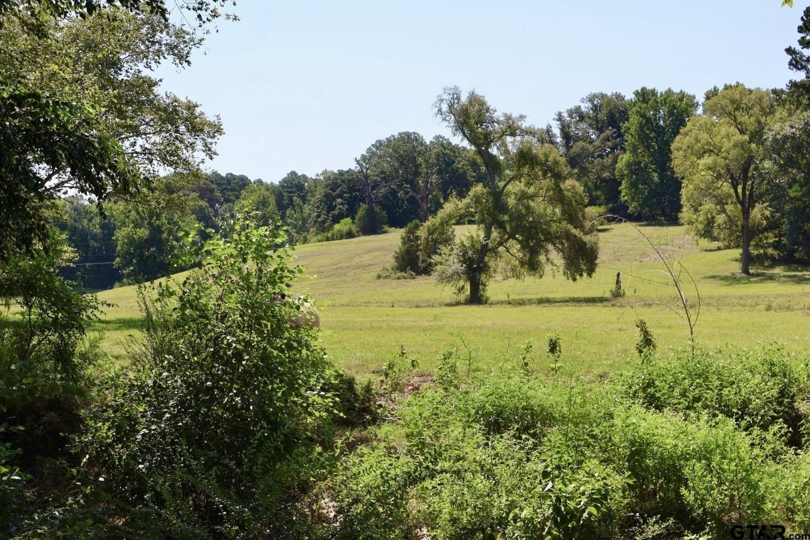 65 acres in Smith County - photo 33