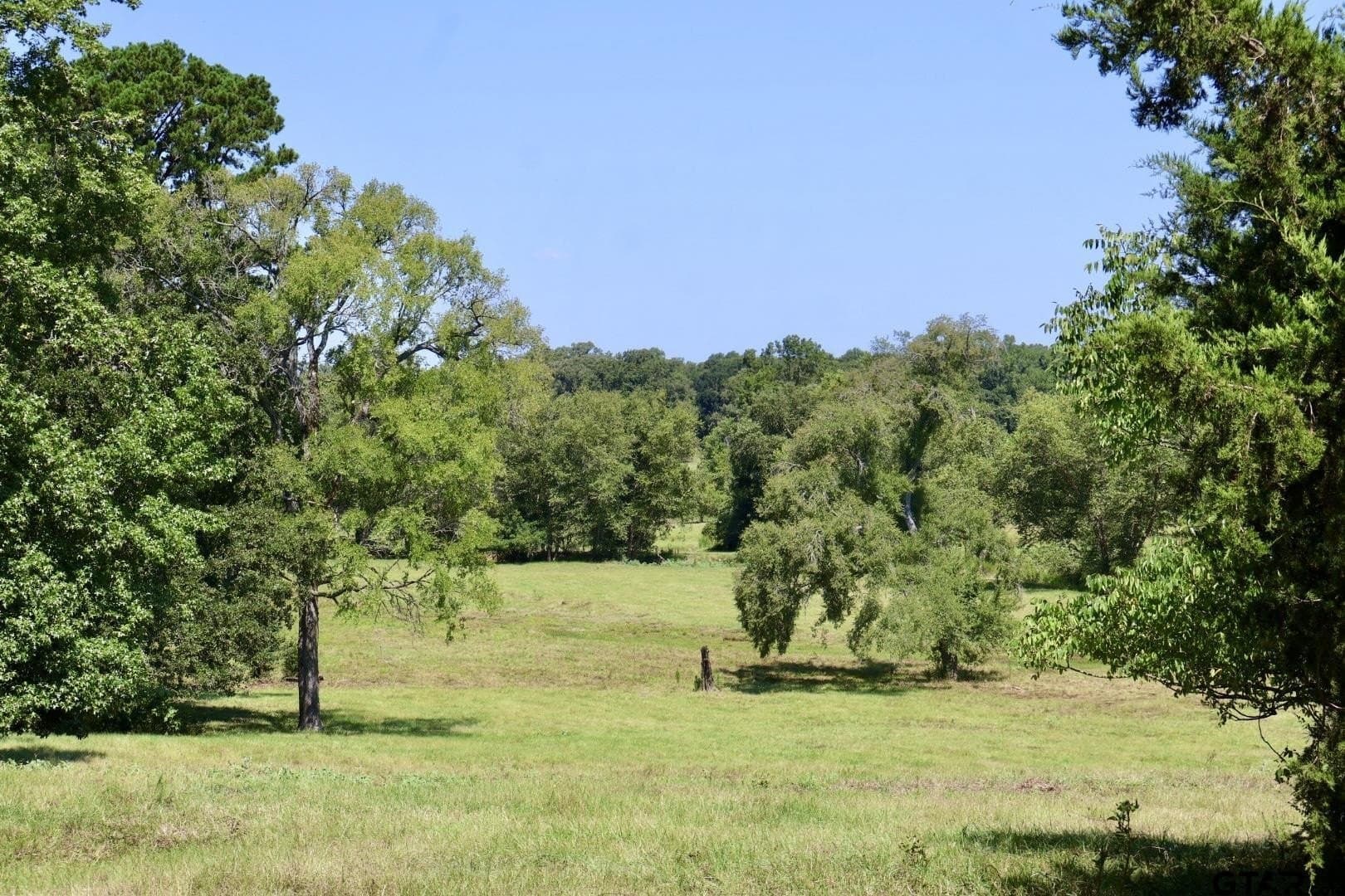65 acres in Smith County - photo 24