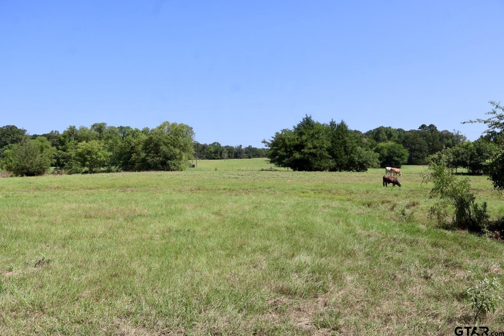 65 acres in Smith County - photo 42