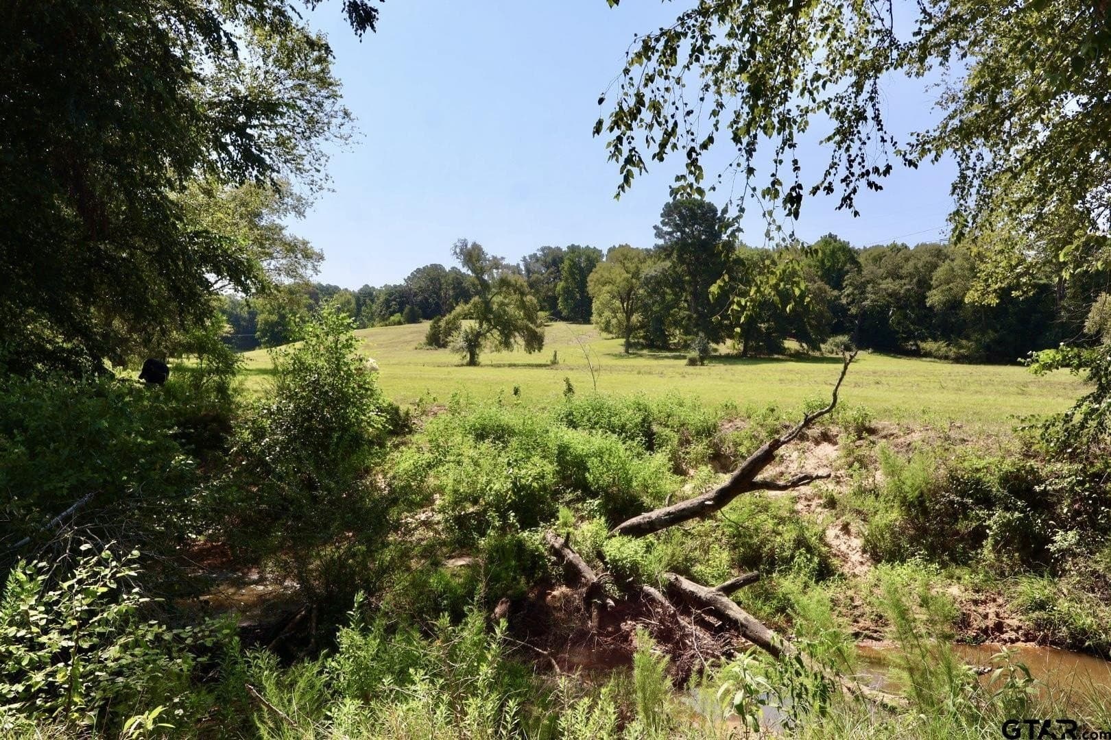 65 acres in Smith County - photo 32