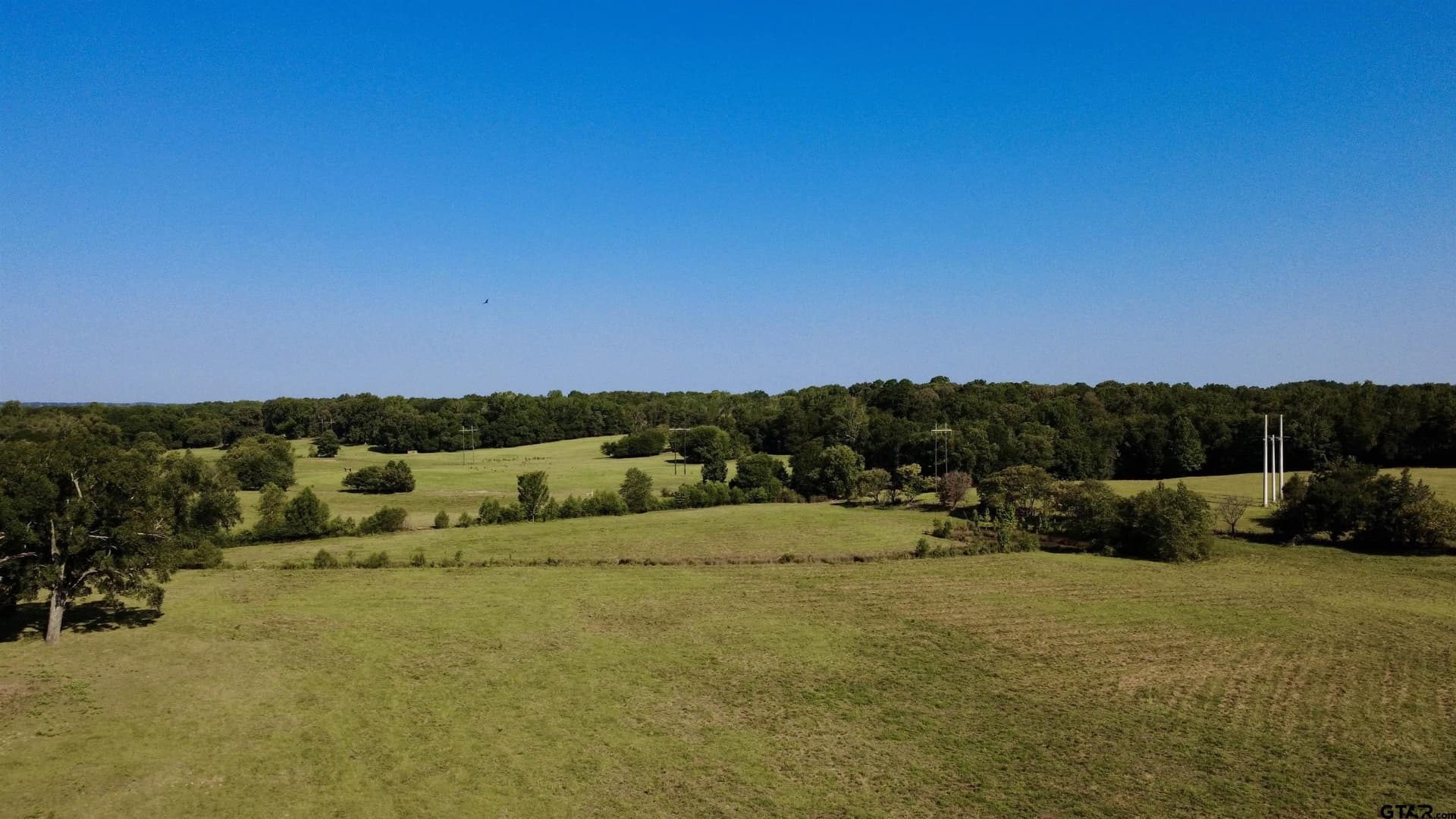 65 acres in Smith County - photo 8