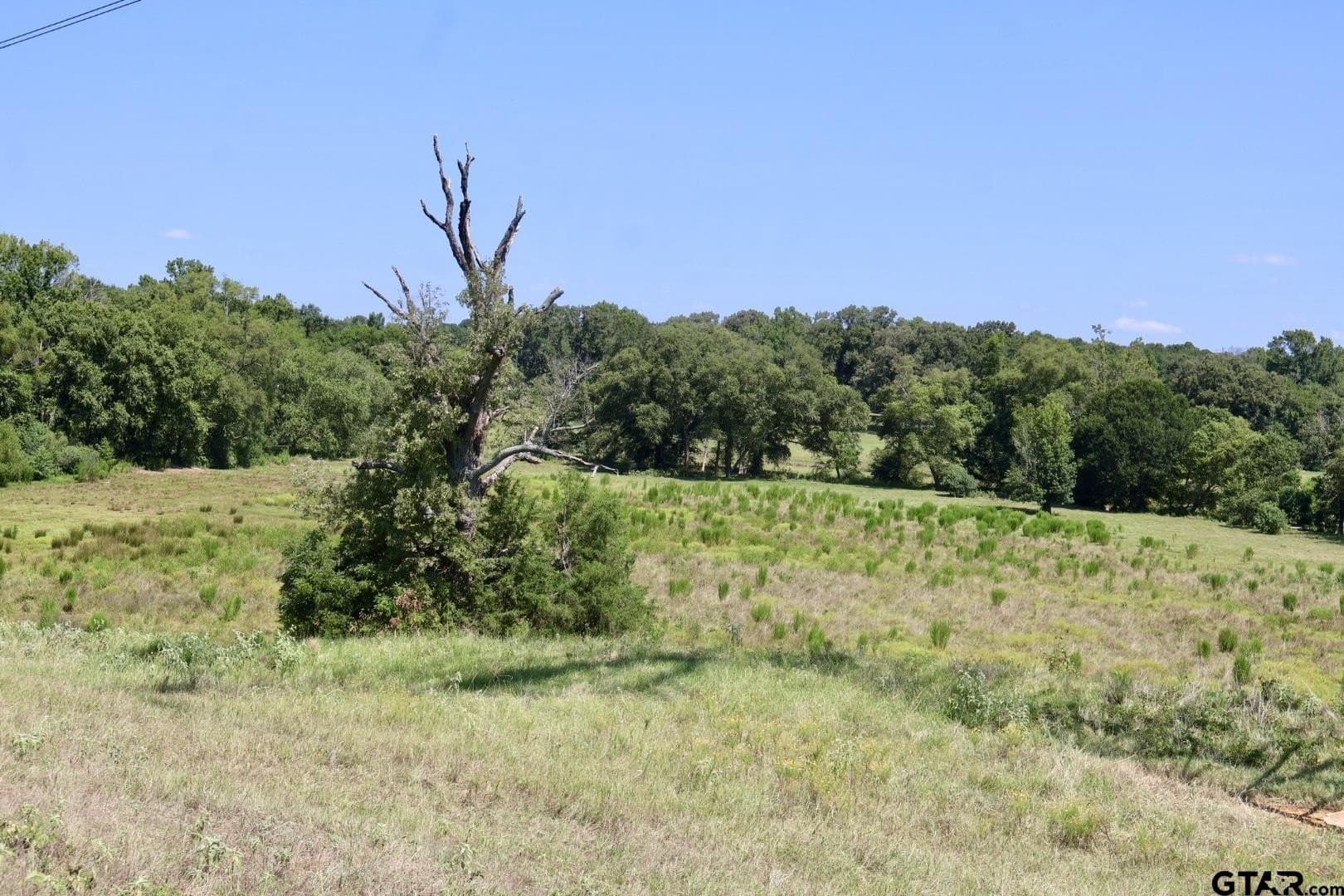 65 acres in Smith County - photo 29