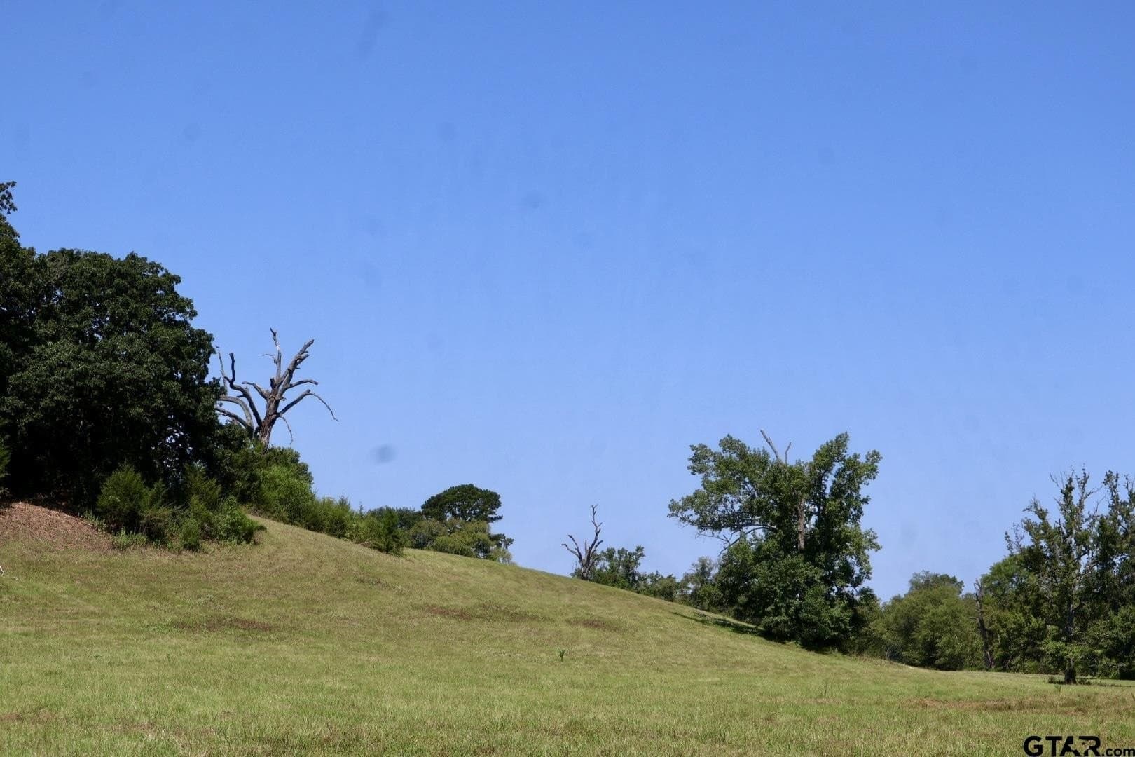 65 acres in Smith County - photo 21