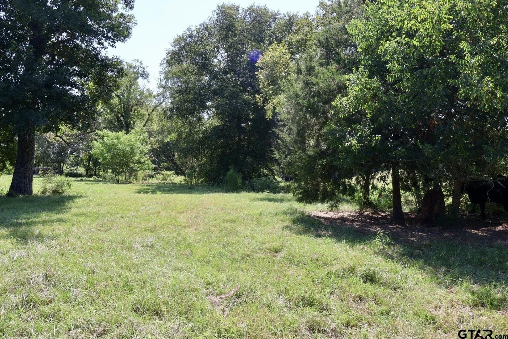 65 acres in Smith County - photo 43