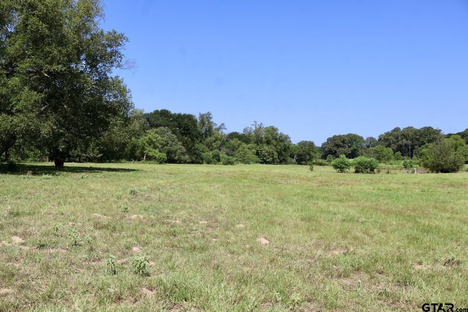 65 acres in Smith County - photo 40
