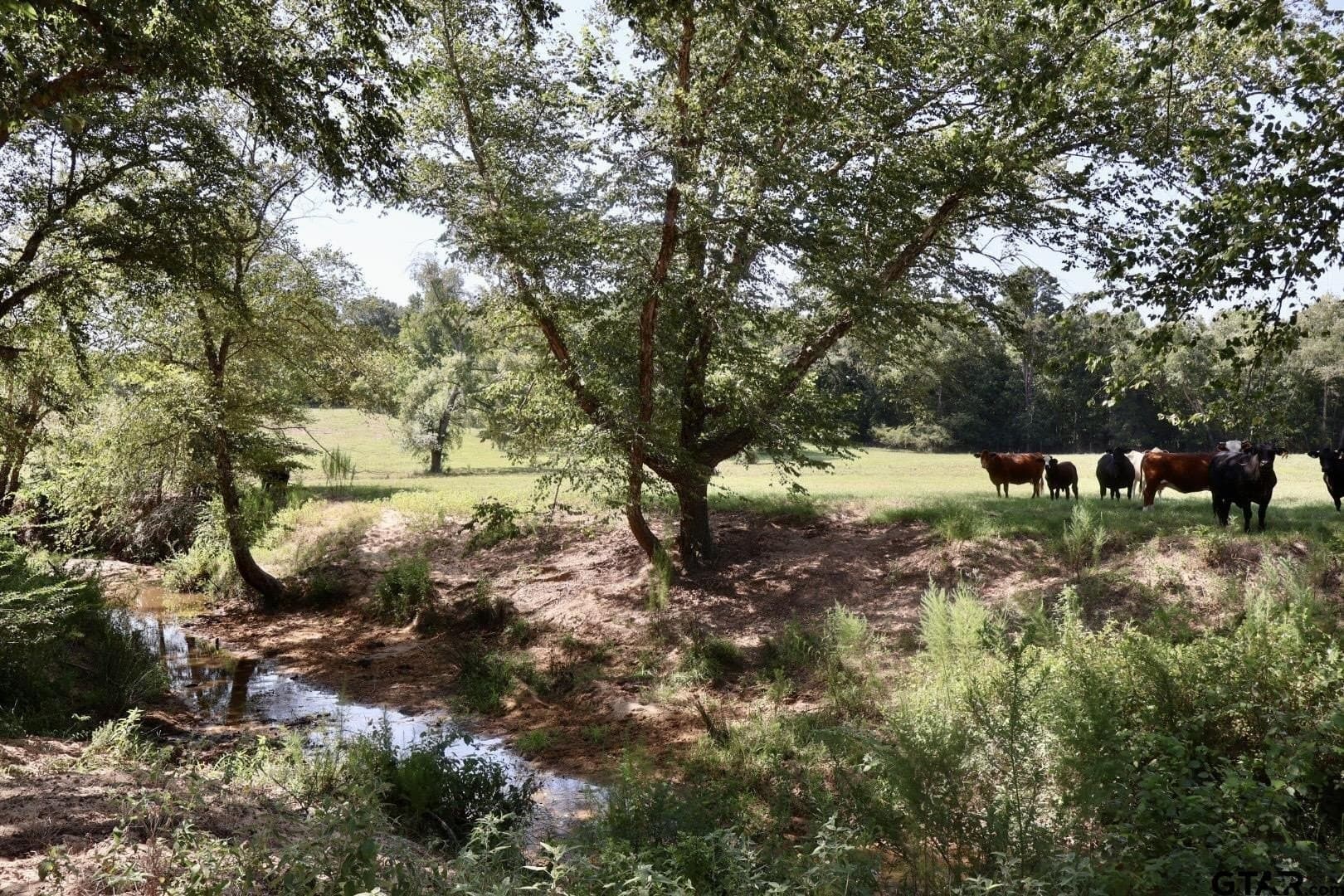 65 acres in Smith County - photo 44