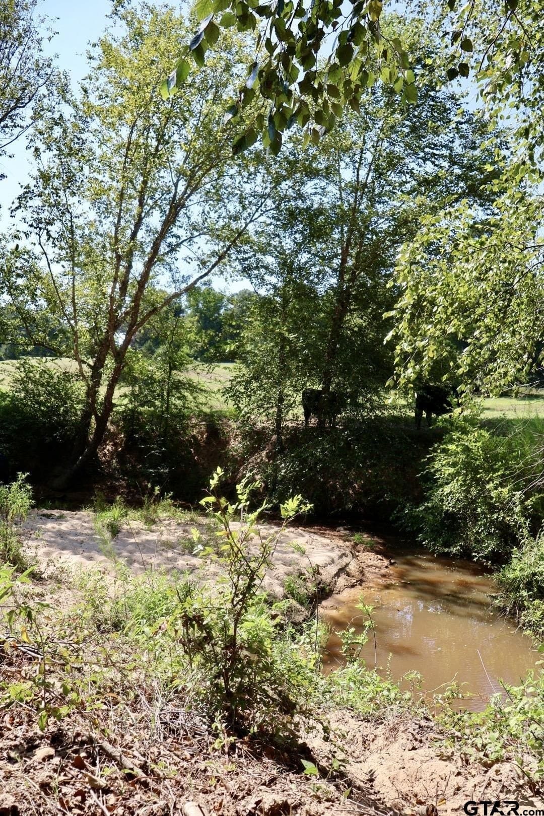 65 acres in Smith County - photo 46