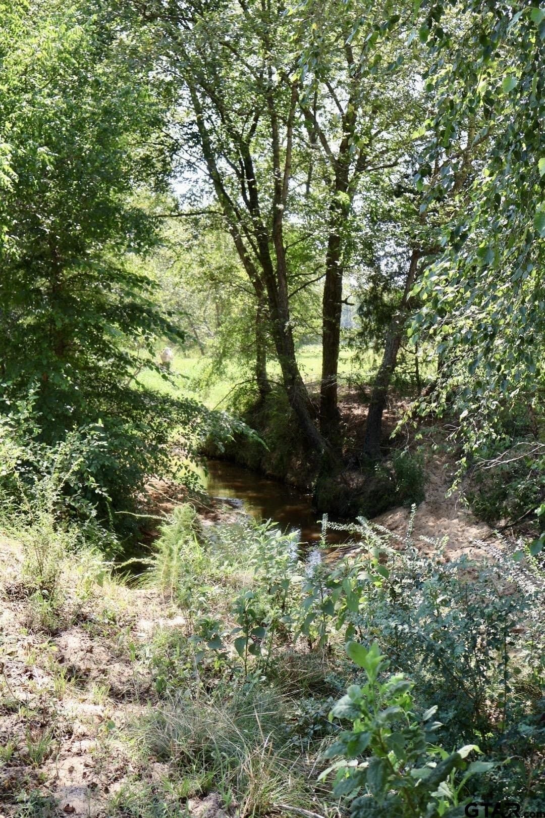 65 acres in Smith County - photo 35
