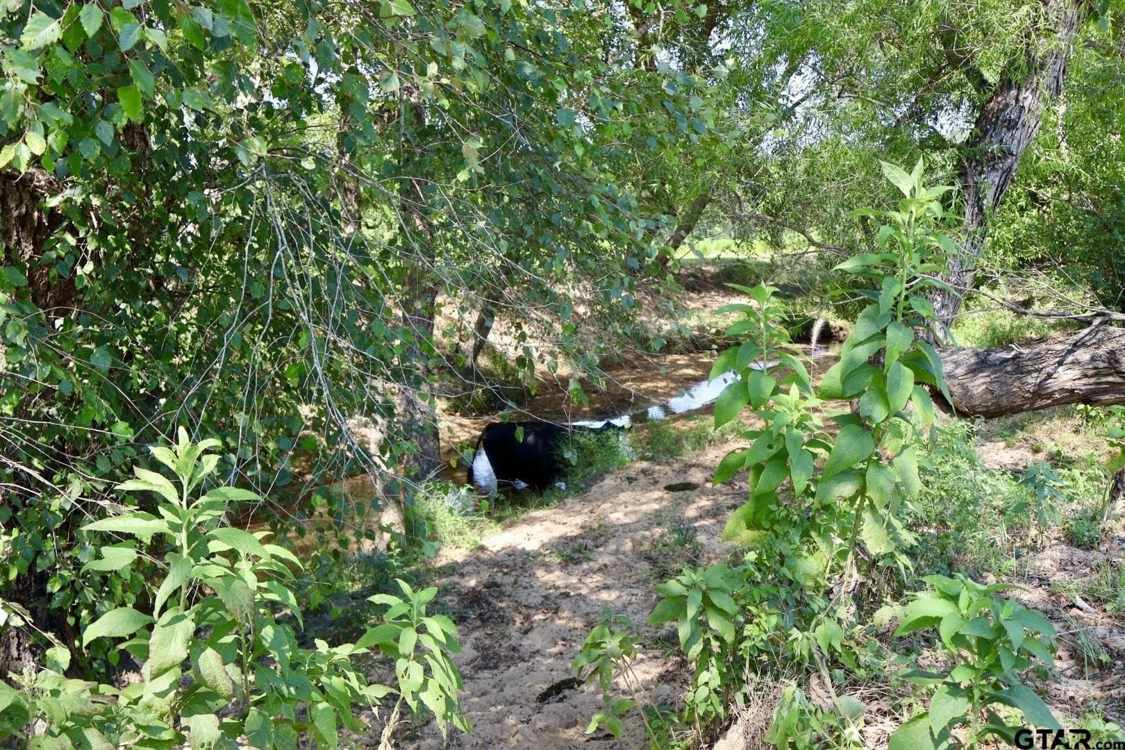 65 acres in Smith County - photo 38