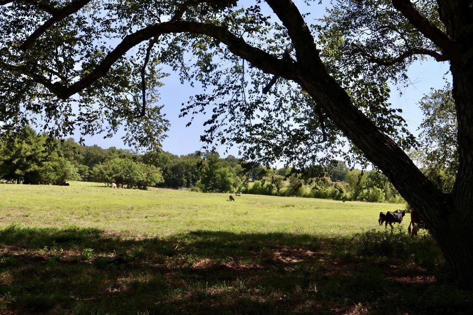 65 acres in Smith County - photo 36