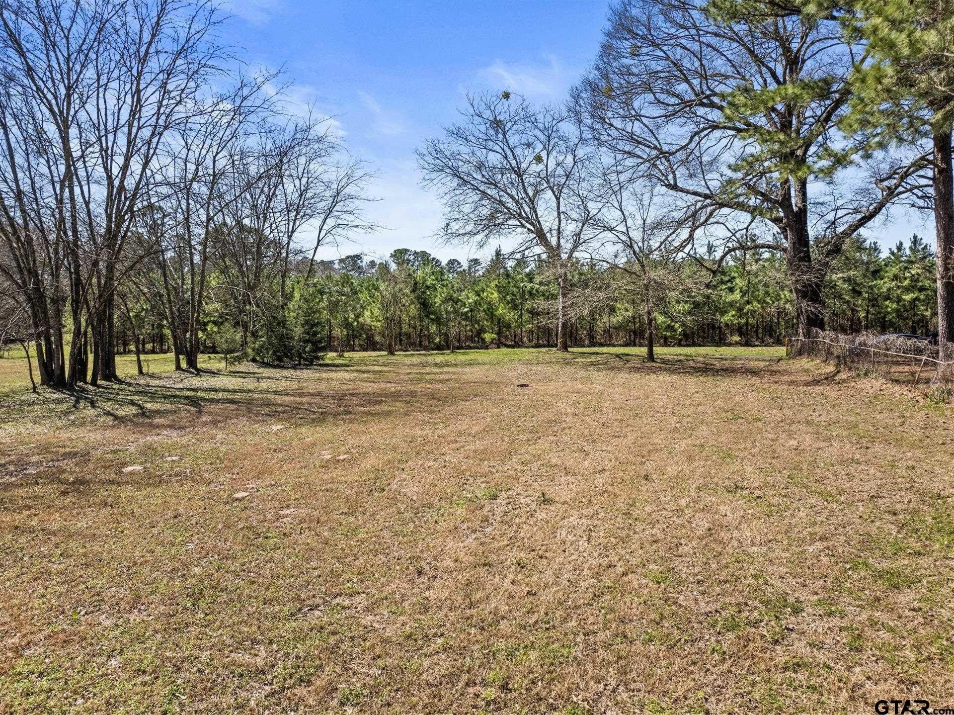 2 acres in Titus County gallery image 2