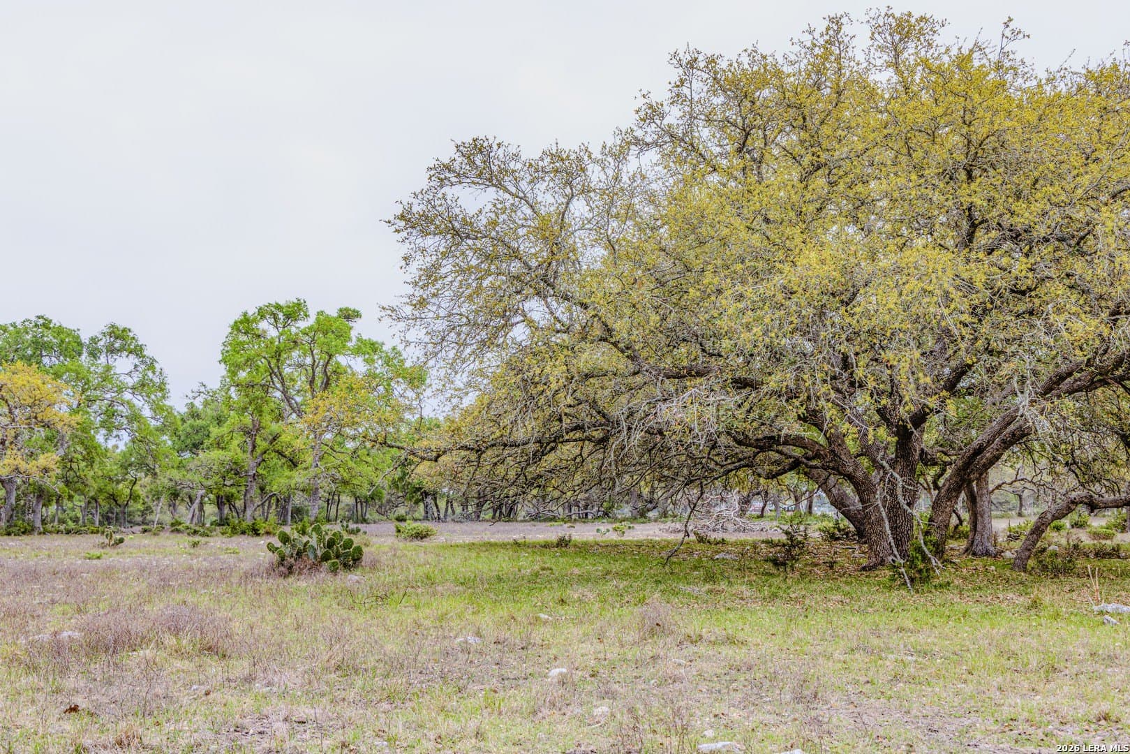 33 acres in Kendall County - photo 38