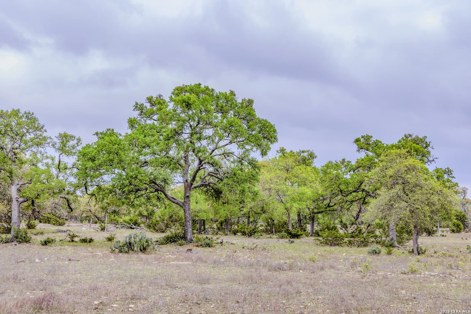33 acres in Kendall County - photo 36
