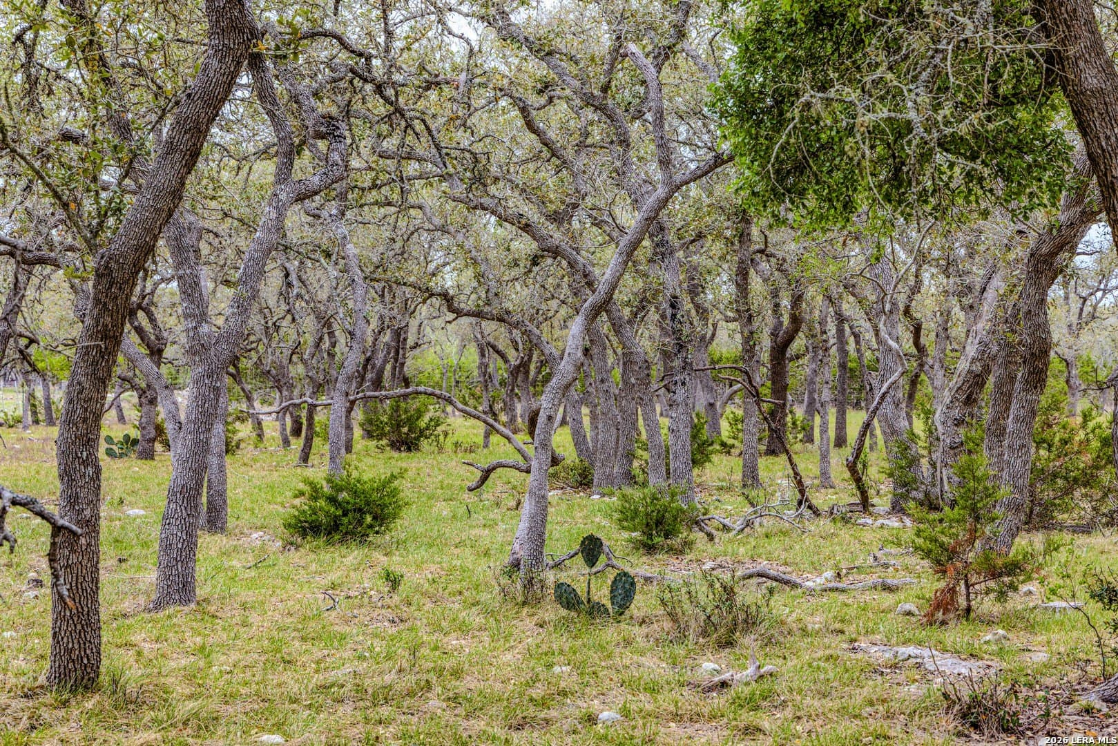 33 acres in Kendall County - photo 30