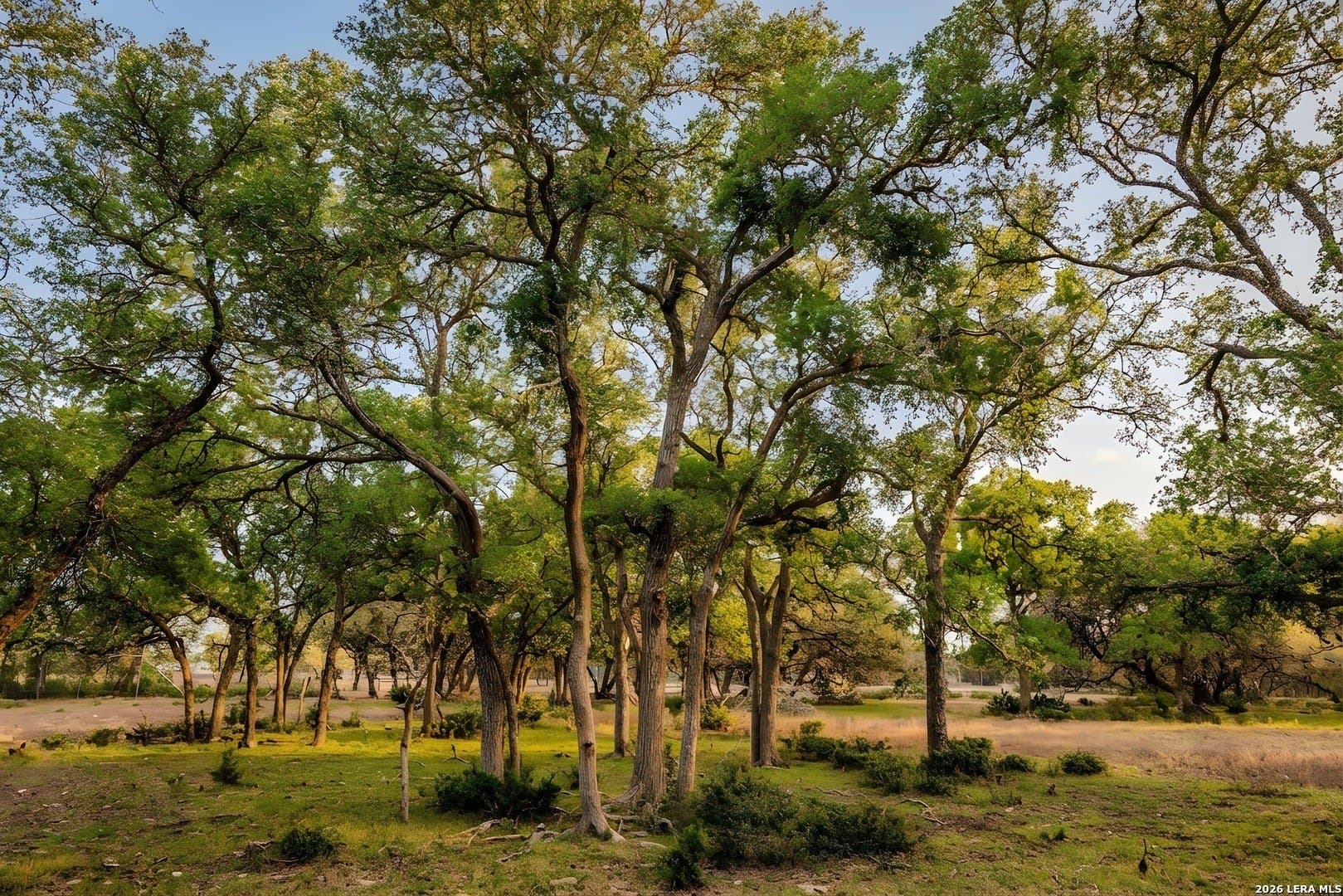 33 acres in Kendall County - photo 9