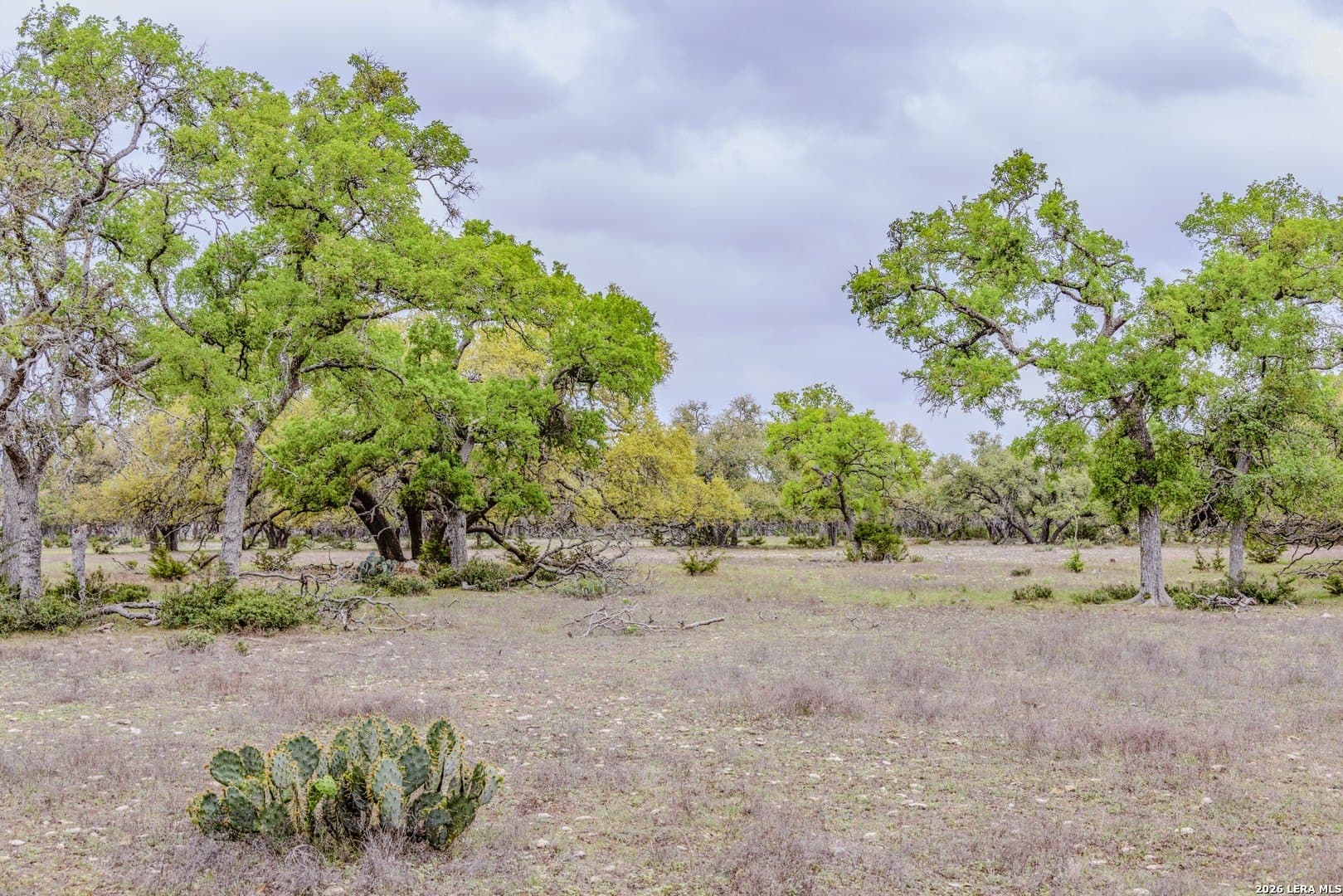 33 acres in Kendall County - photo 35