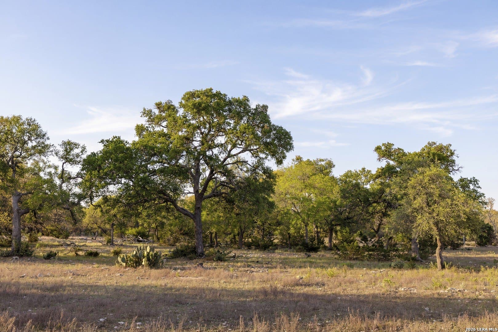 33 acres in Kendall County - photo 13